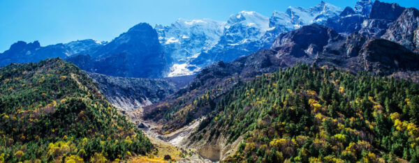 Gangotri National Park, Uttarakhand