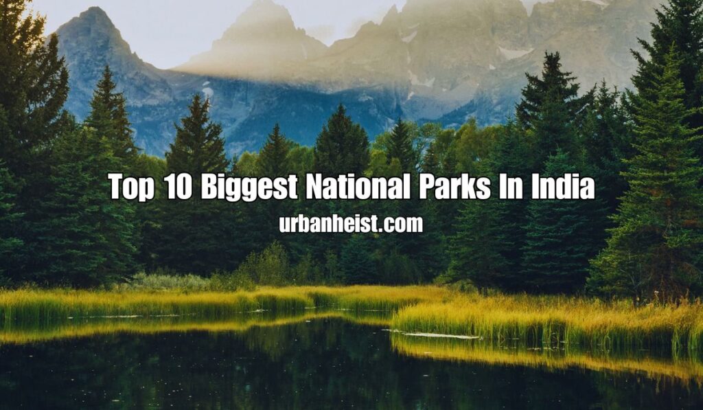 Biggest National Parks In India