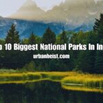 Biggest National Parks In India