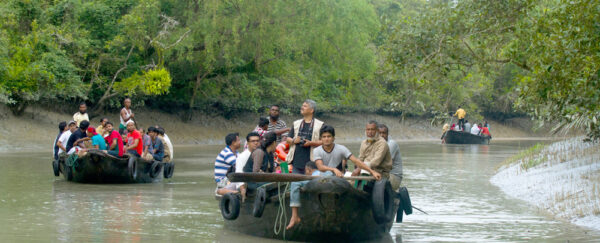 Sundarbans National Park, West Bengal