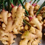 Highest Ginger Producing States In India