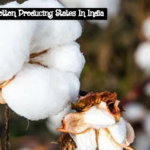 Largest Cotton Producing States In India