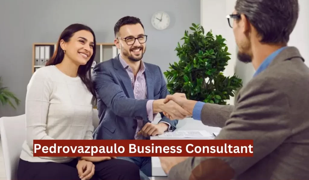 Pedrovazpaulo Business Consultant