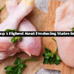 Top 5 Highest Meat Producing States In India