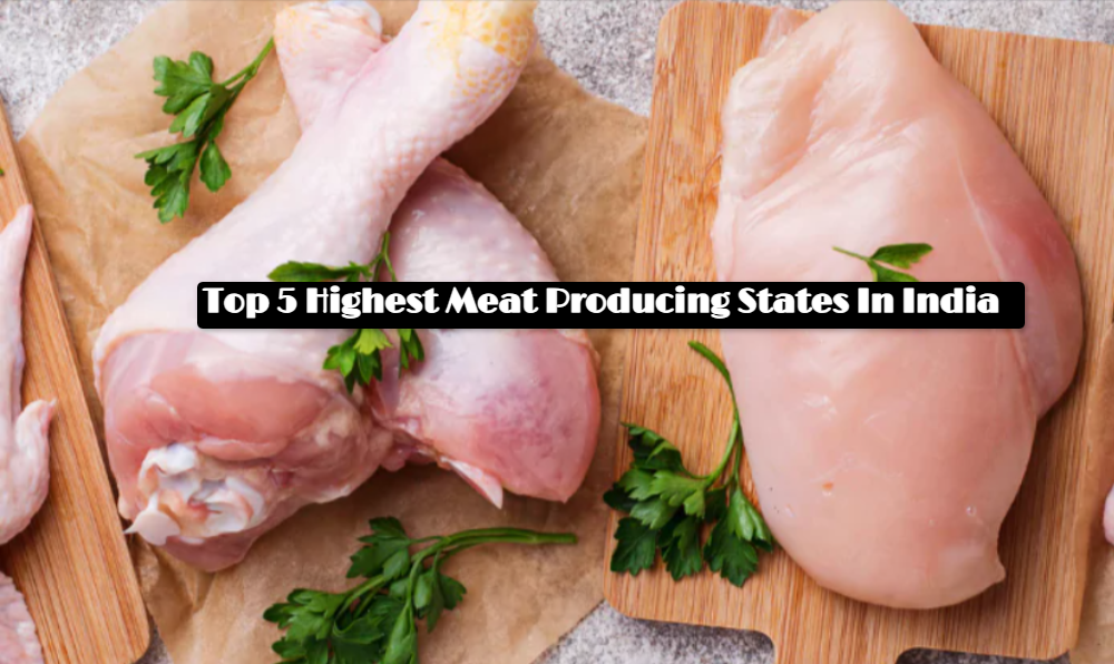 Top 5 Highest Meat Producing States In India