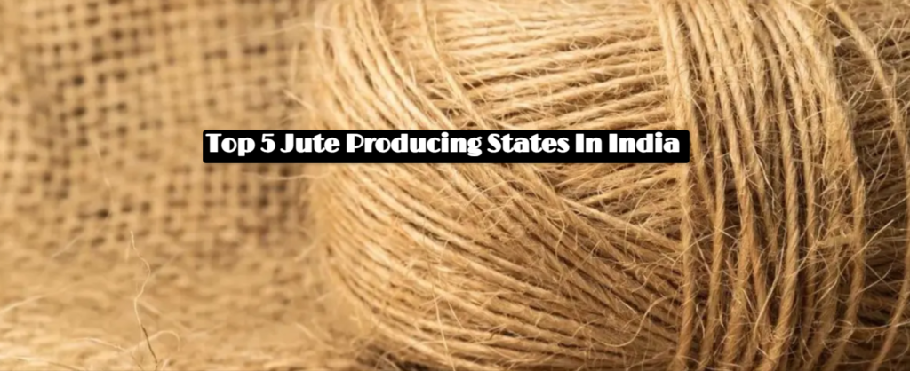 Top 5 Jute Producing States In India