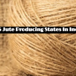 Top 5 Jute Producing States In India