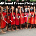 Traditional Dress of Nagaland