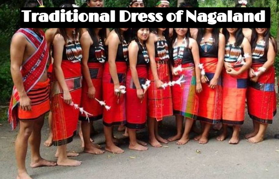 Traditional Dress of Nagaland