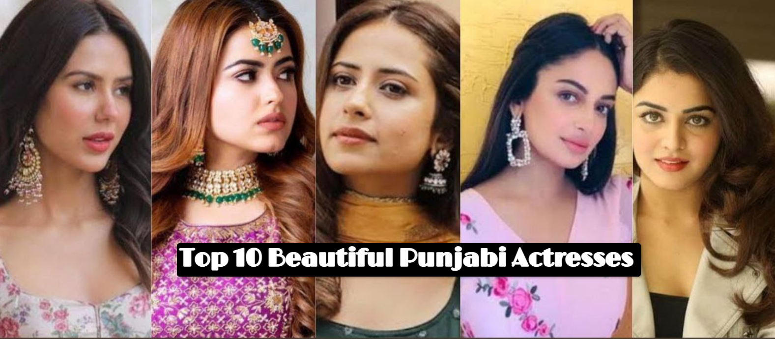 Top 10 Beautiful Punjabi Actresses