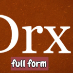 DRX full form